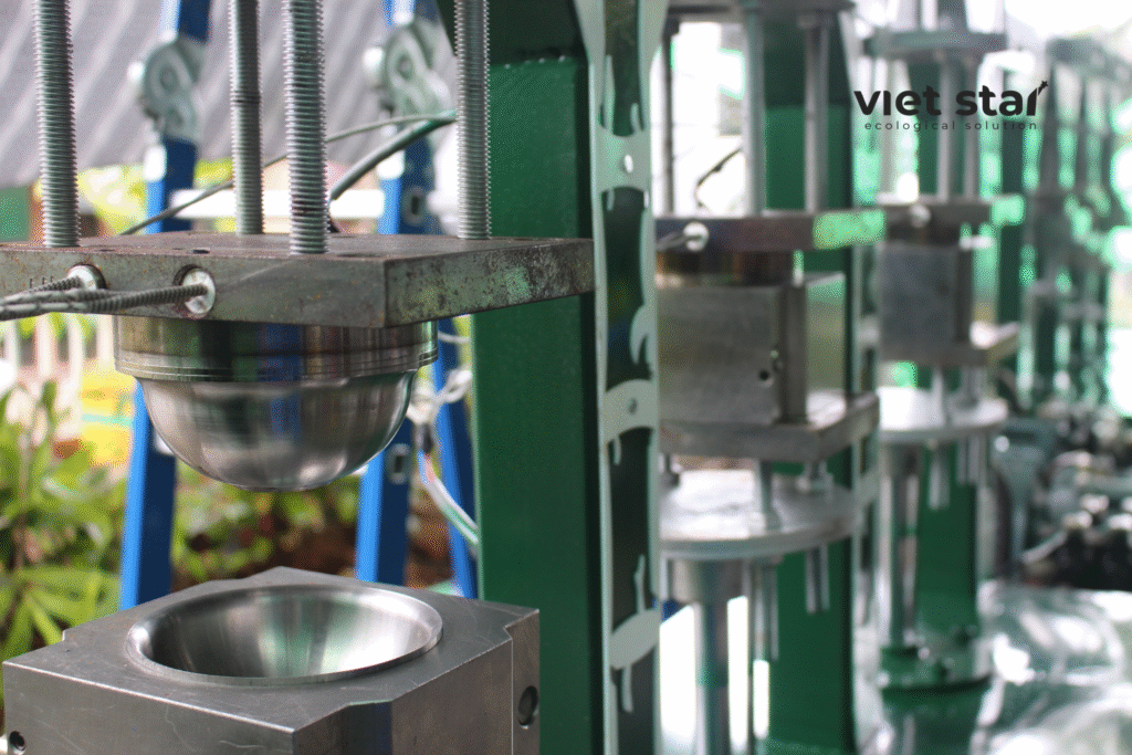 Khuôn chén của máy ép lá và mo tre tự động