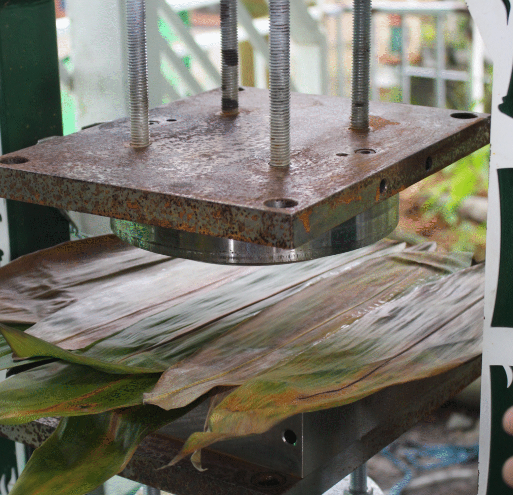 Máy ép lá tre thành chén, đĩa, hộp tự động viet star bamboo