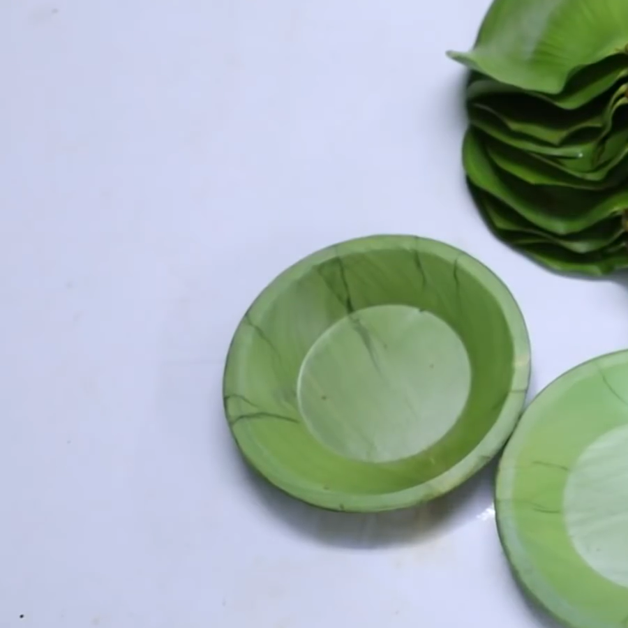 Đĩa lá lục bình