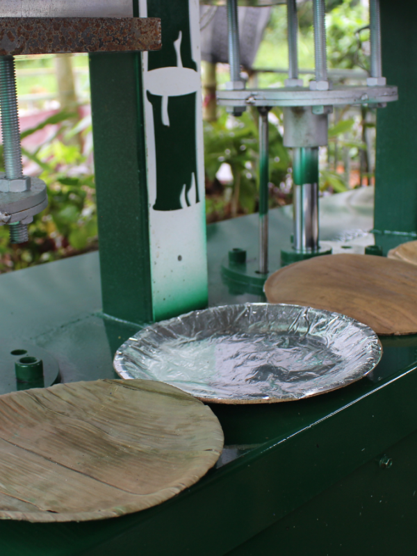 Chén đĩa hộp đủ loại lá khi dùng máy ép chén, đĩa, hộp lá viet star bamboo