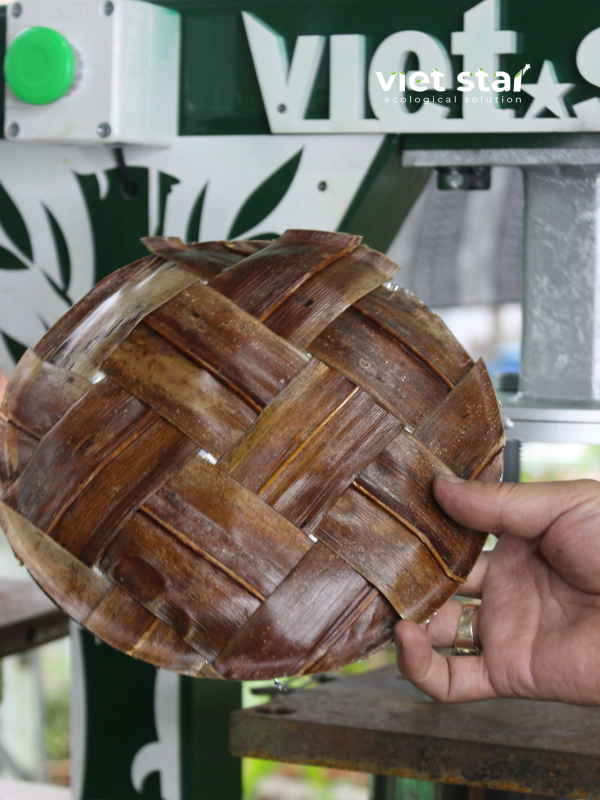 Đĩa lá dừa thành phẩm sau khi ép bởi máy ép chén, đĩa, hộp lá dừa tự động viet star bamboo