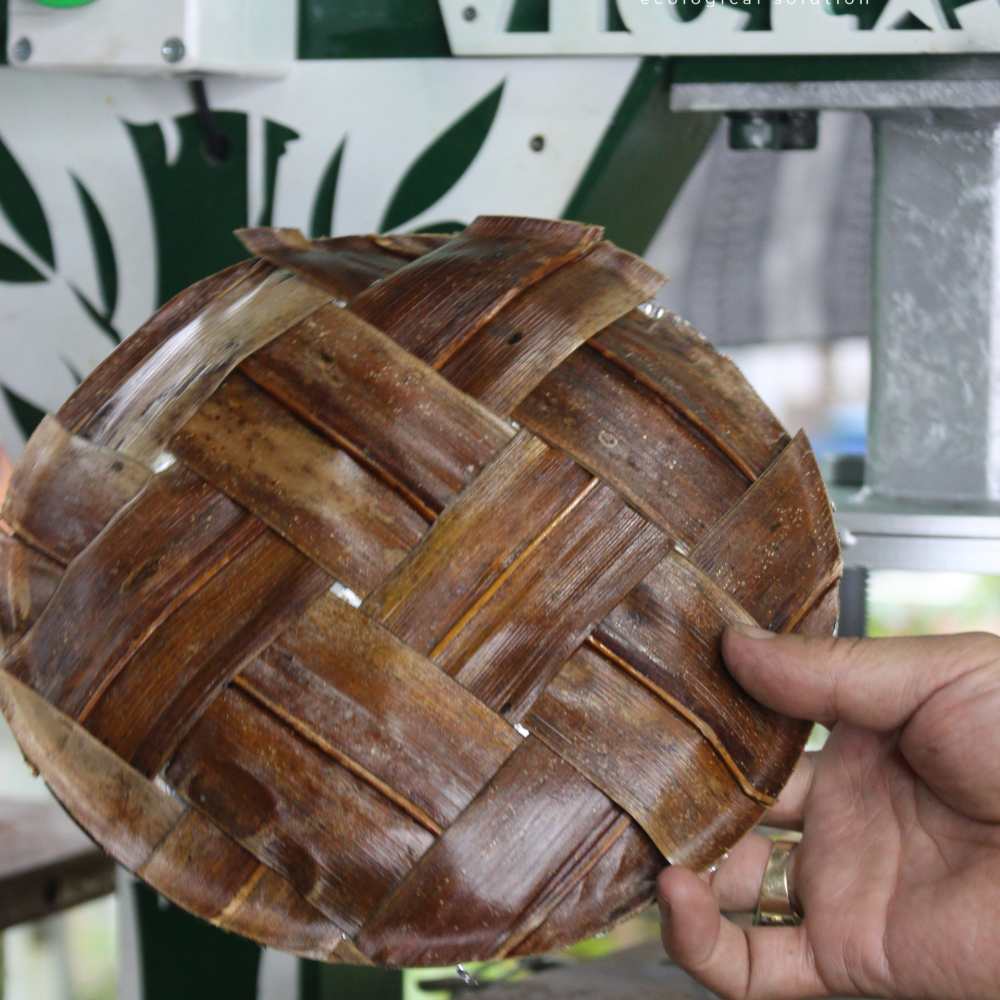 Đĩa lá dừa thành phẩm sau khi ép bởi máy ép chén, đĩa, hộp lá dừa tự động viet star bamboo