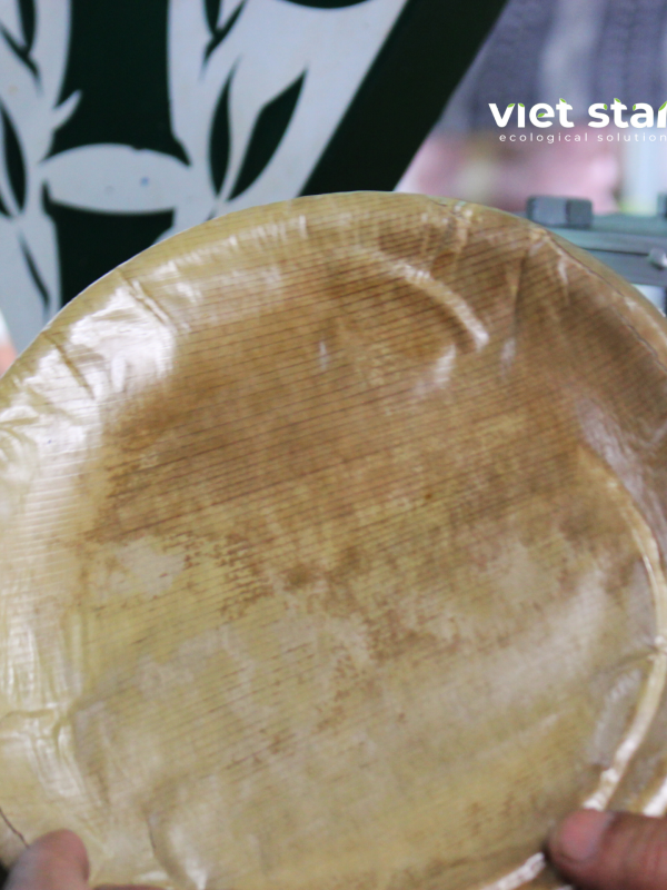 Đĩa mo tre thành phẩm sau khi ép