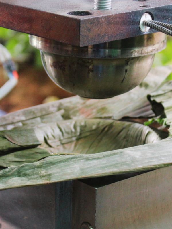 Máy đang ép lá tre thành chén viet star bamboo