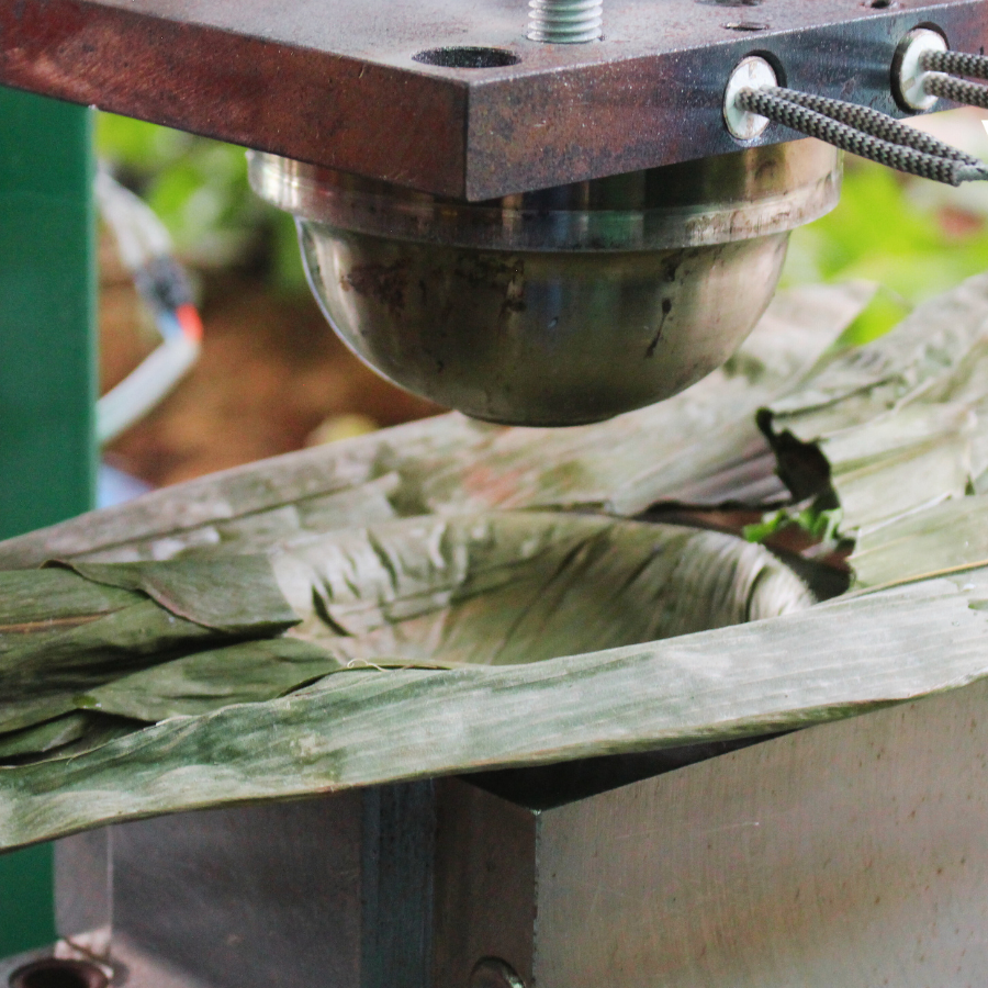 Máy đang ép lá tre thành chén viet star bamboo