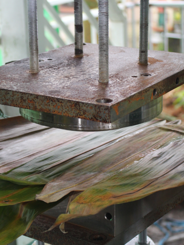 Máy ép lá tre thành chén, đĩa, hộp tự động viet star bamboo