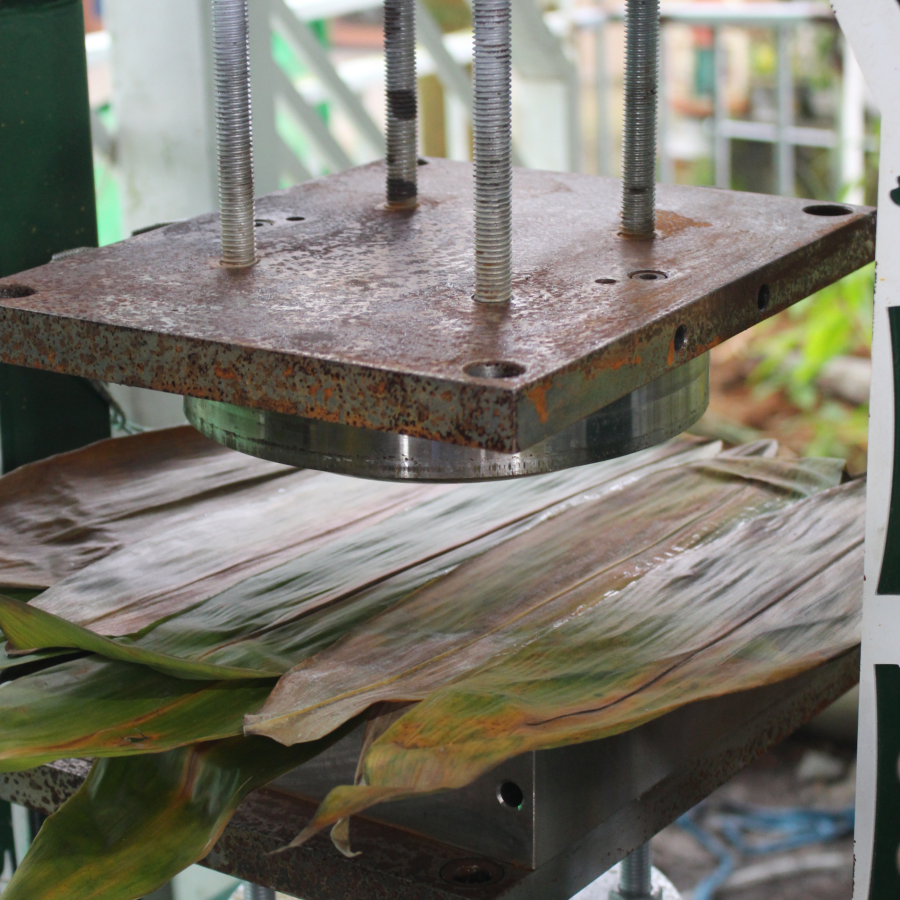 Máy ép lá tre thành chén, đĩa, hộp tự động viet star bamboo