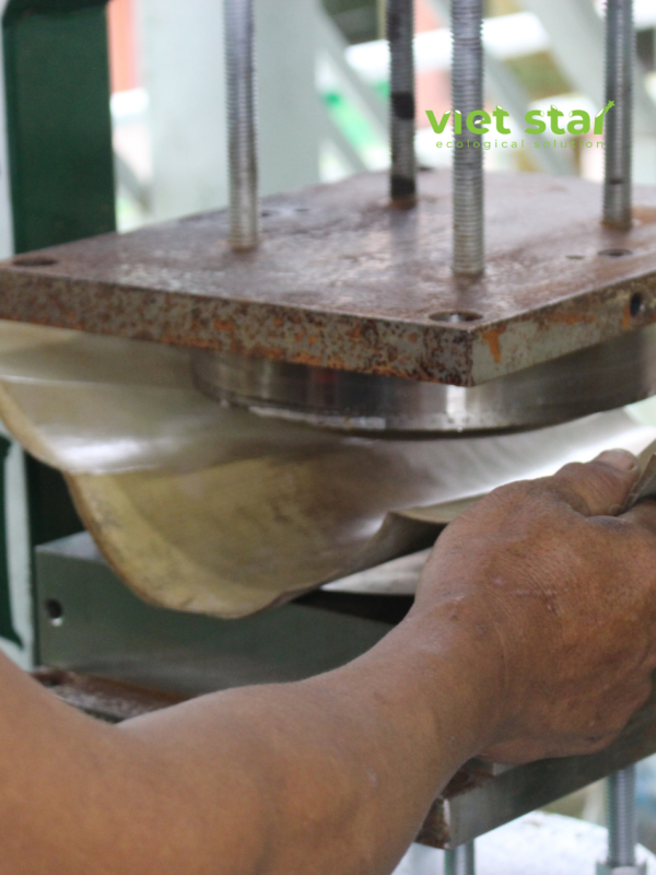 Mo tre được ép thành đĩa bằng máy ép đĩa, chén, hộp mo tre Viet Star Bamboo