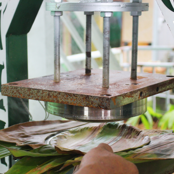 Thành phẩm sau khi dùng máy ép chén, đĩa, hộp lá tre viet star bamboo