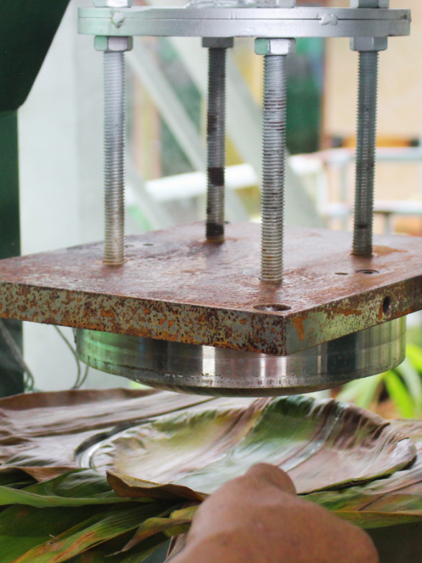 Thành phẩm sau khi dùng máy ép chén, đĩa, hộp lá tre viet star bamboo