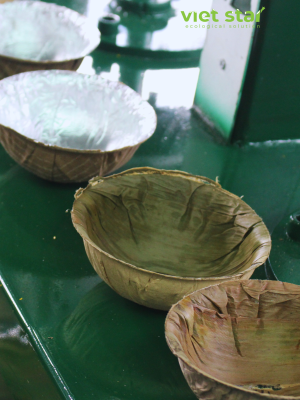 các chén nhiều loại lá thành phẩm sau khi ép bởi máy ép chén, đĩa, hộp lá và mo tự động viet star bamboo