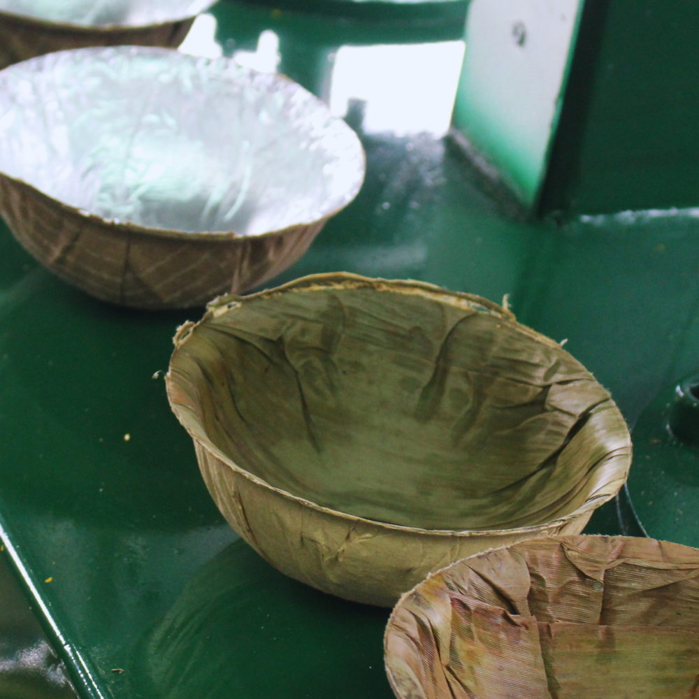 các chén nhiều loại lá thành phẩm sau khi ép bởi máy ép chén, đĩa, hộp lá và mo tự động viet star bamboo