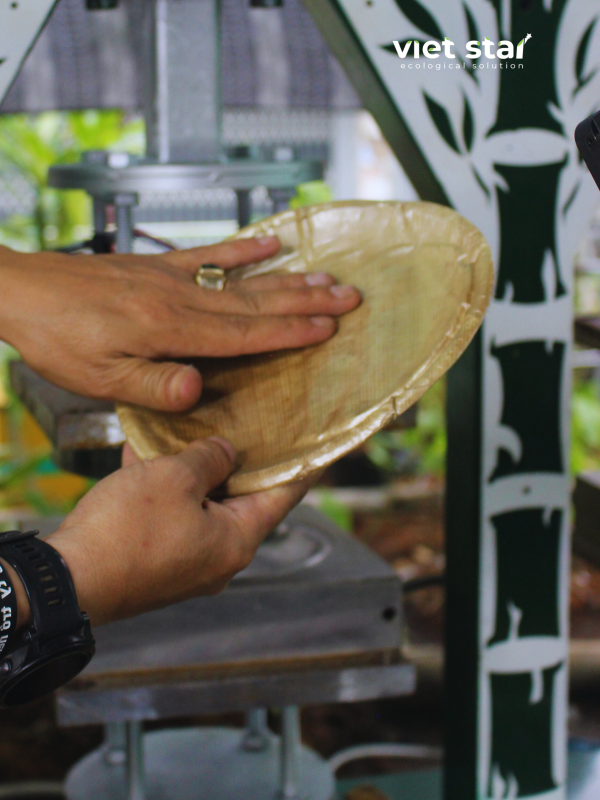 đĩa mo tre thành phẩm sau khi ép bởi máy ép chén, đĩa, hộp lá và mo tự động viet star bamboo