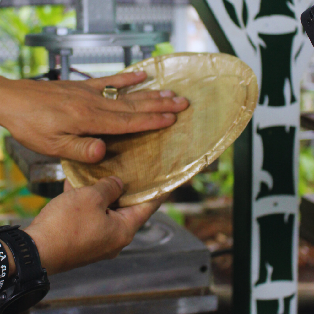 đĩa mo tre thành phẩm sau khi ép bởi máy ép chén, đĩa, hộp lá và mo tự động viet star bamboo