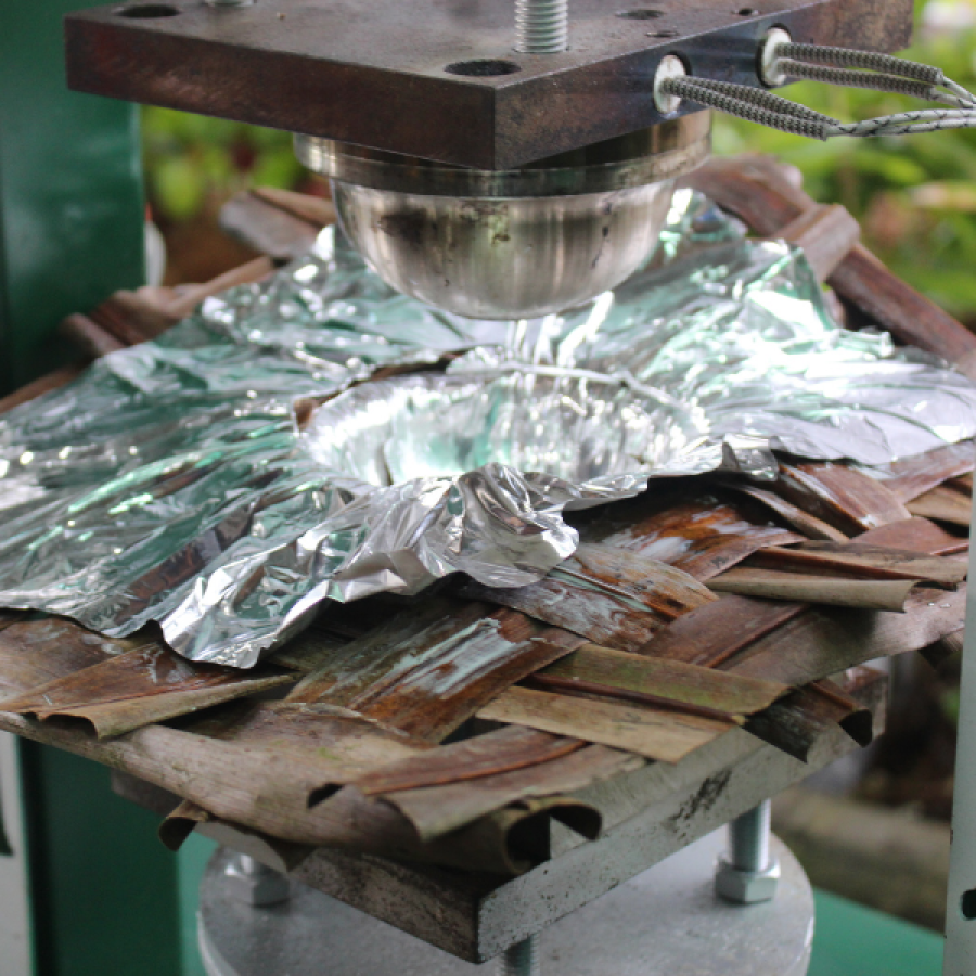 ép lá dừa thành chén