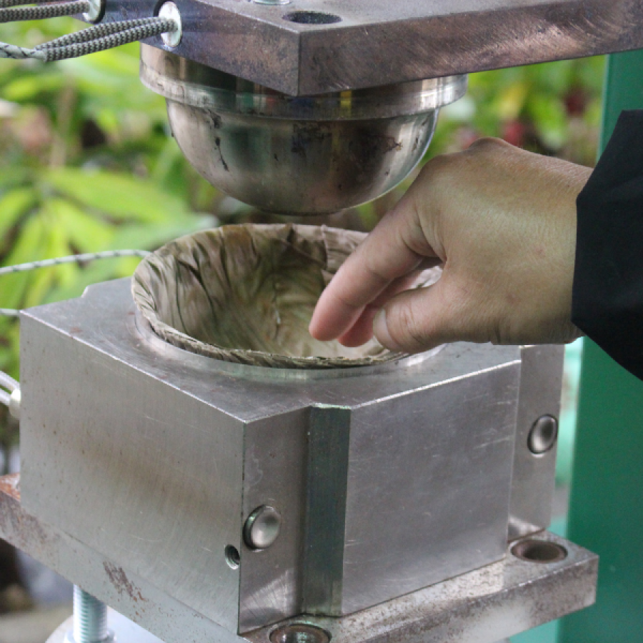 ép lá tre thành chén