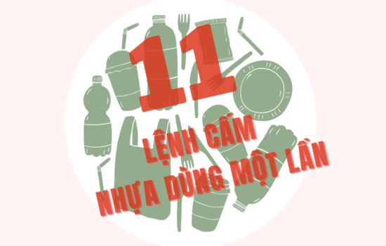 11 lệnh cấm nhựa sử dụng một lần