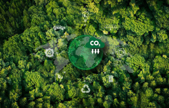 Thị trường carbon Việt Nam: Khai mở tiềm năng, đón đầu cơ hội