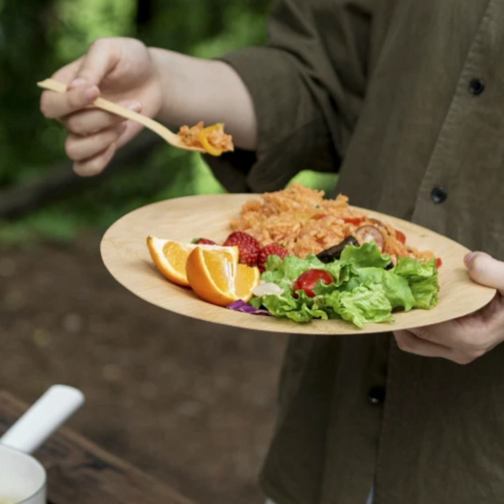 sử dụng đĩa mo tre trong ăn uống picnic