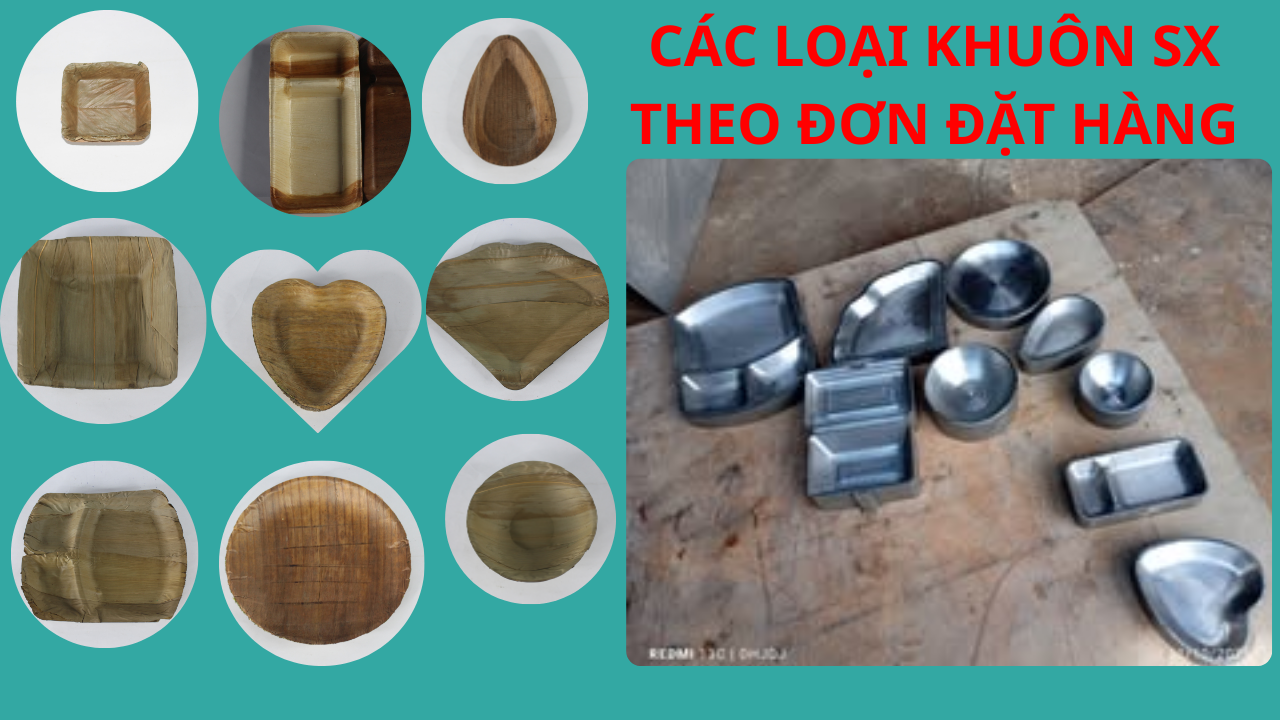 Khuôn máy ép chén đĩa lá