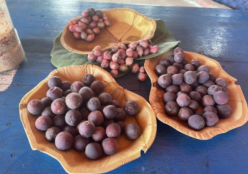 Biến lá bàn biển thành đĩa thân thiện môi trường